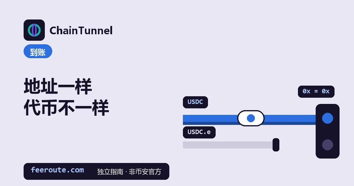 两条管道通向同一个接收口:标着 USDC 的那条接通,胶囊正在路上;标着 USDC.e 的那条在接收口前断开,上方写着 0x = 0x